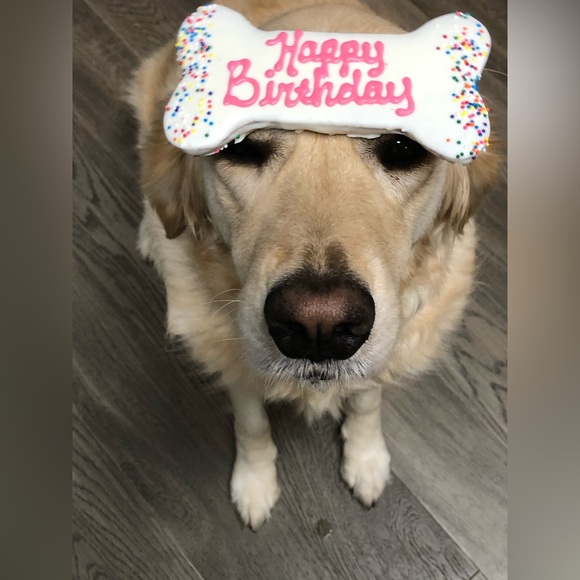 LoveMonkey Birthday Celebration Show - Sunday 2/1 @ 2:00 EST - Picture 10 of 10